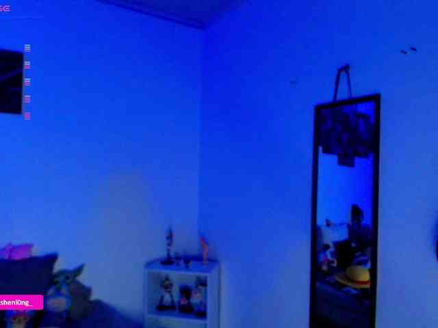 Nicorobin webcam