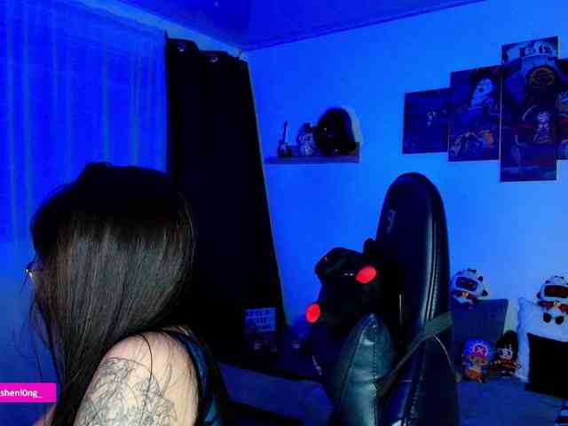 Nicorobin webcam