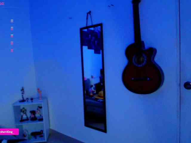 Nicorobin webcam