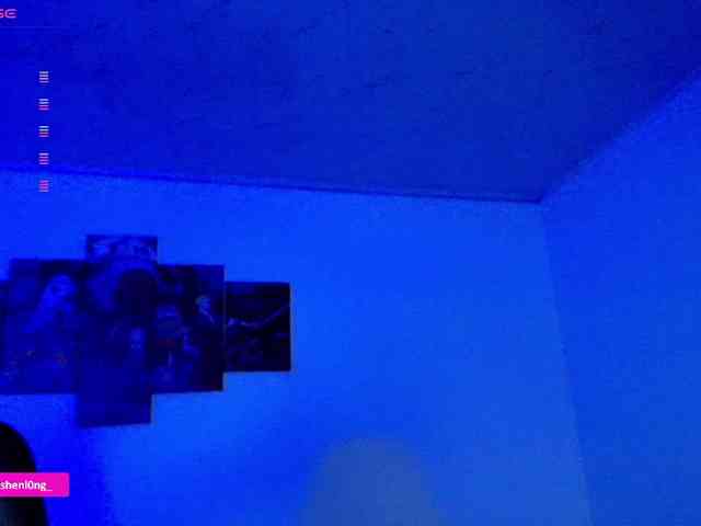 Nicorobin webcam