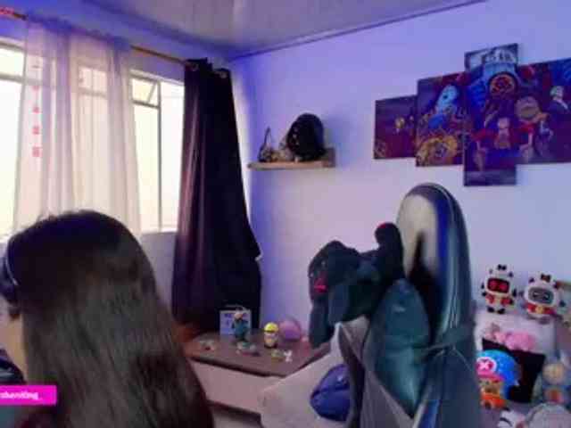 Nicorobin webcam