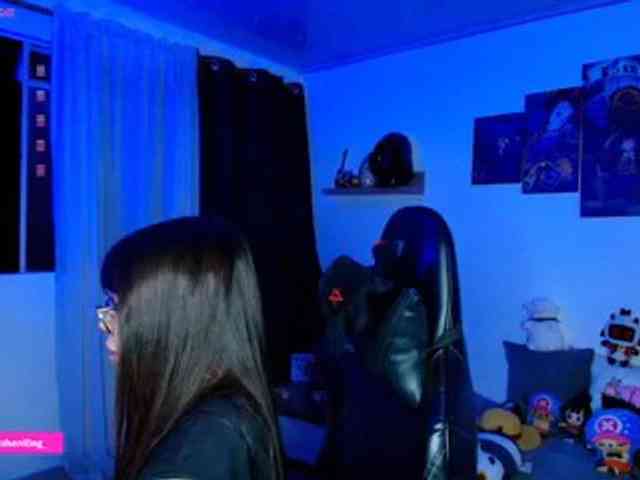 Nicorobin webcam