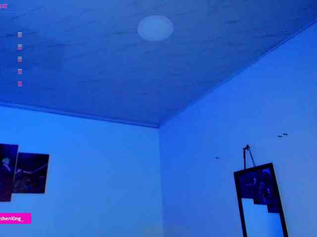 Nicorobin webcam
