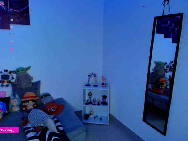 Nicorobin webcam
