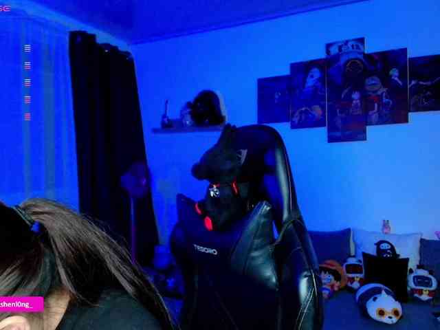 Nicorobin webcam