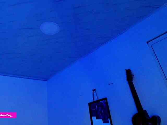 Nicorobin webcam