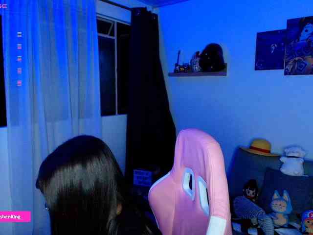 Nicorobin webcam