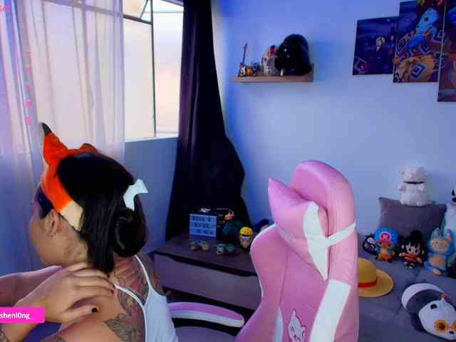 Nicorobin webcam
