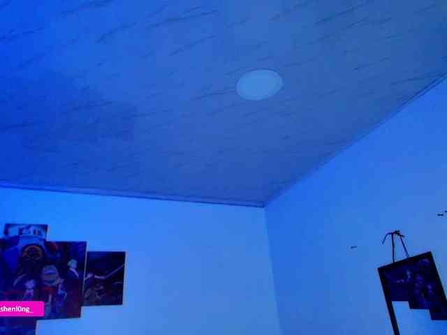 Nicorobin webcam