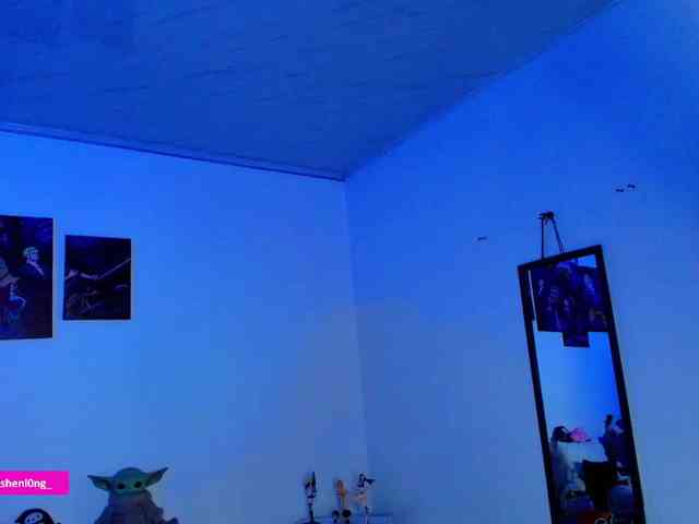 Nicorobin webcam
