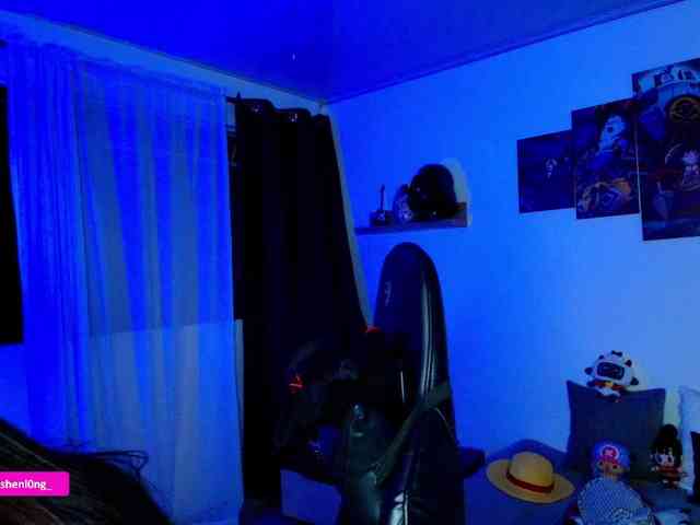 Nicorobin webcam