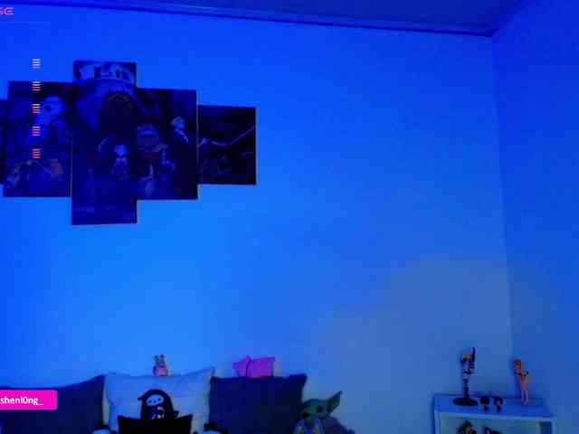 Nicorobin webcam