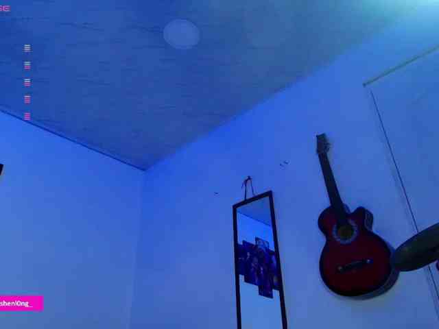 Nicorobin webcam