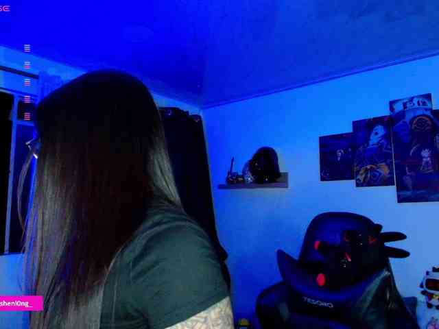 Nicorobin webcam