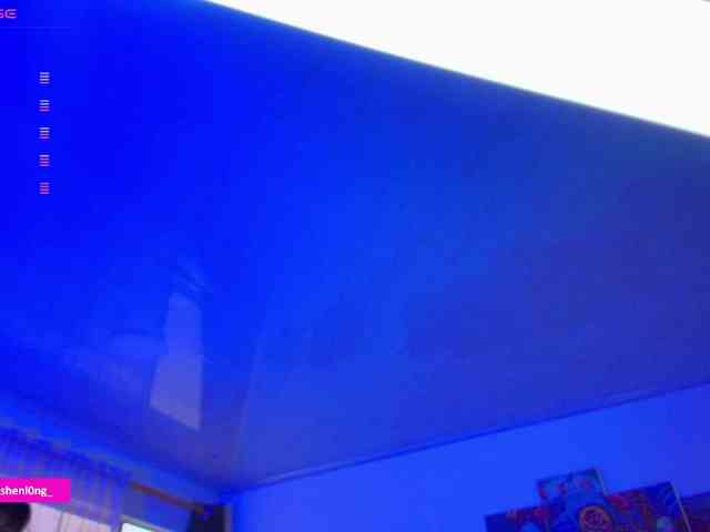 Nicorobin webcam