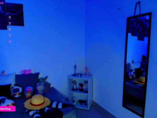 Nicorobin webcam