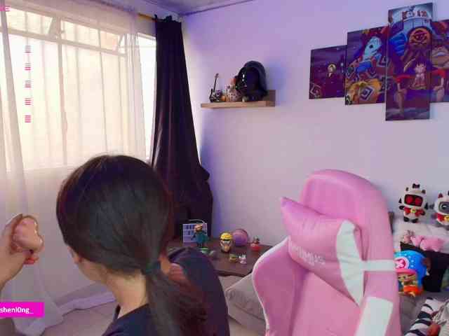 Nicorobin webcam