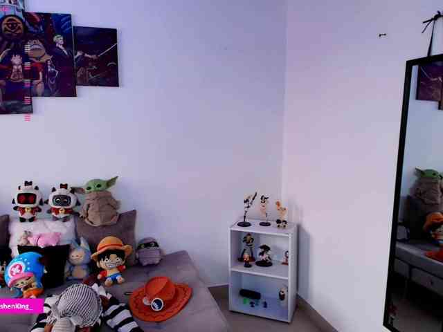 Nicorobin webcam