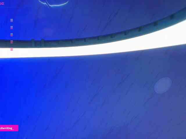 Nicorobin webcam