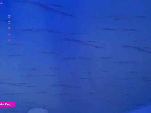 Nicorobin webcam