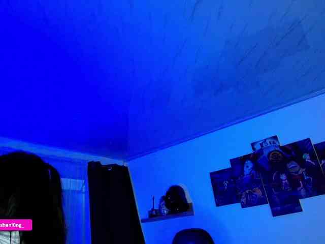 Nicorobin webcam
