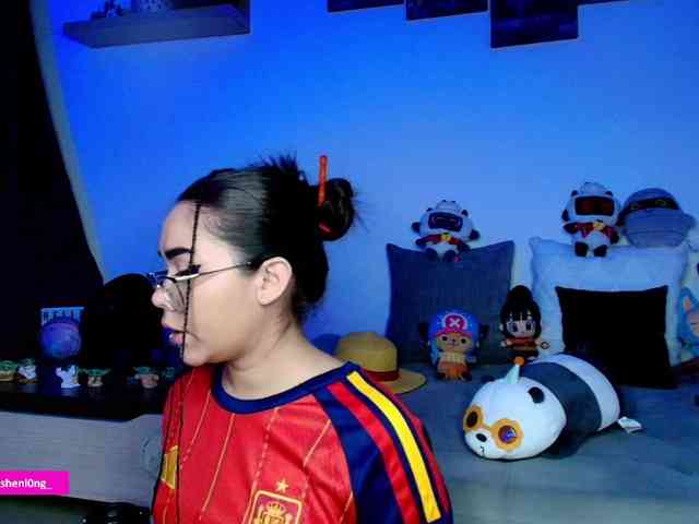 Nicorobin webcam