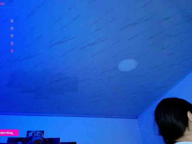 Nicorobin webcam