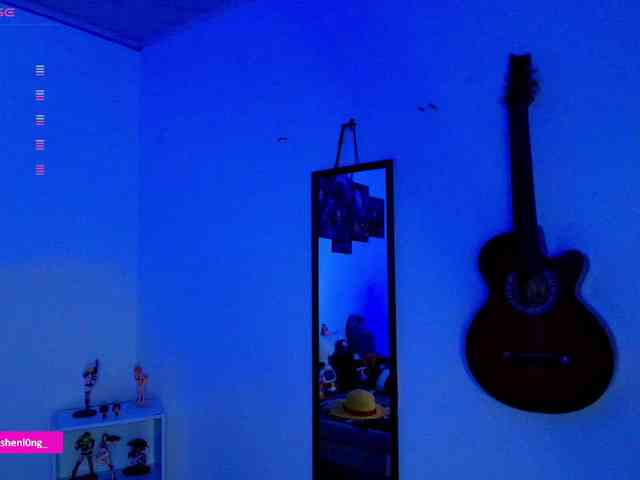 Nicorobin webcam