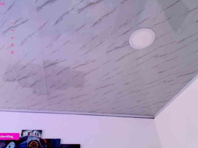 Nicorobin webcam