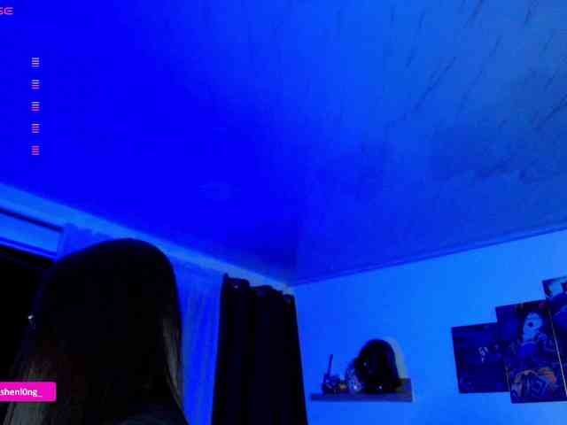 Nicorobin webcam