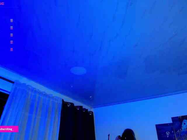 Nicorobin webcam