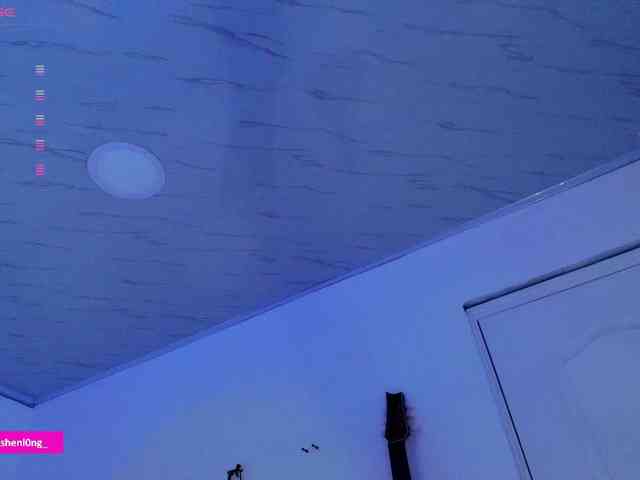 Nicorobin webcam