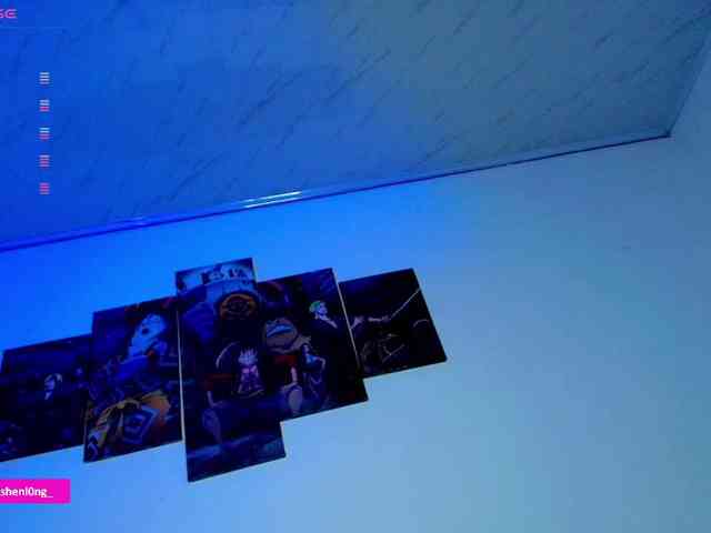 Nicorobin webcam