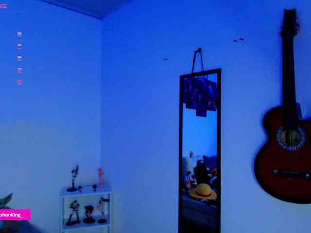 Nicorobin webcam