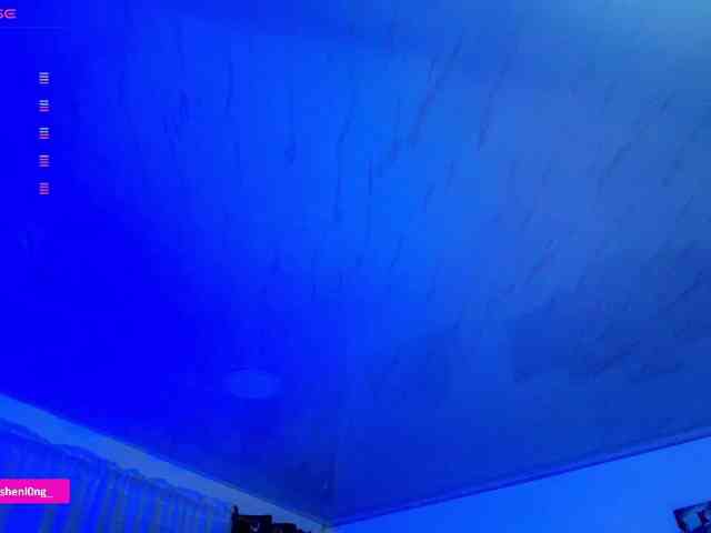 Nicorobin webcam