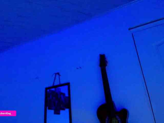Nicorobin webcam