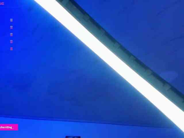 Nicorobin webcam