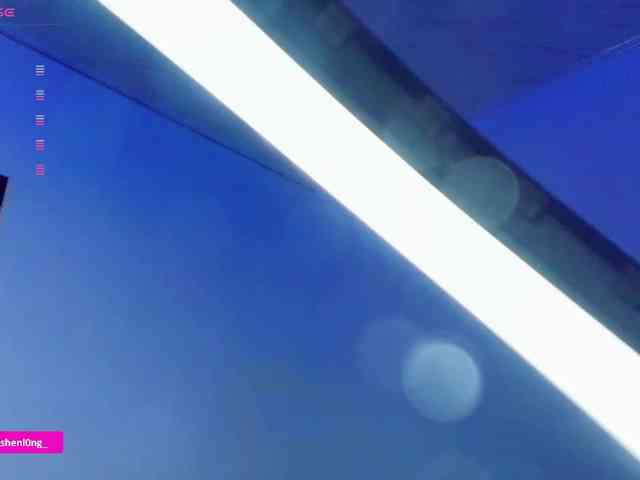 Nicorobin webcam