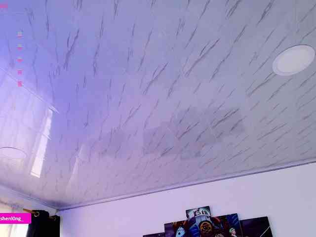 Nicorobin webcam