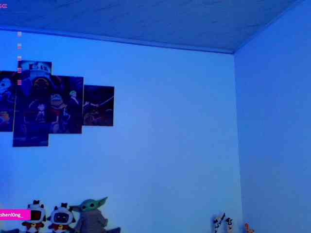 Nicorobin webcam