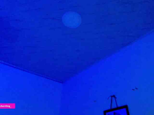 Nicorobin webcam