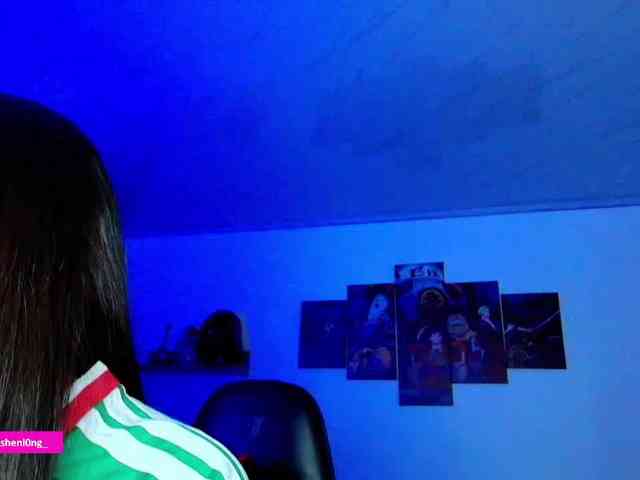 Nicorobin webcam