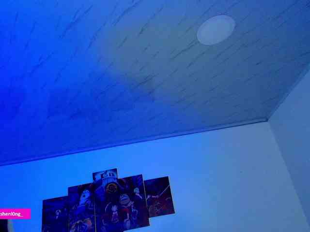Nicorobin webcam