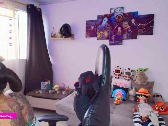 Nicorobin webcam