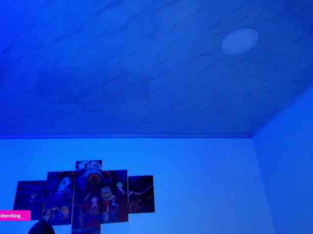 Nicorobin webcam