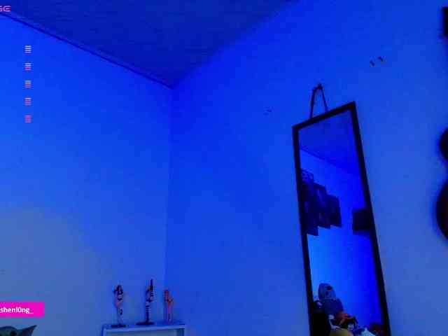 Nicorobin webcam