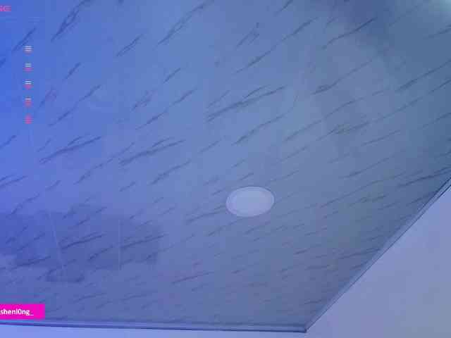 Nicorobin webcam