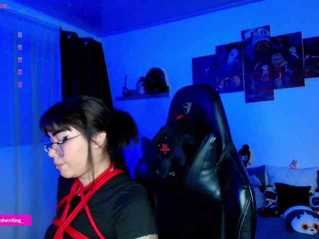 Nicorobin webcam
