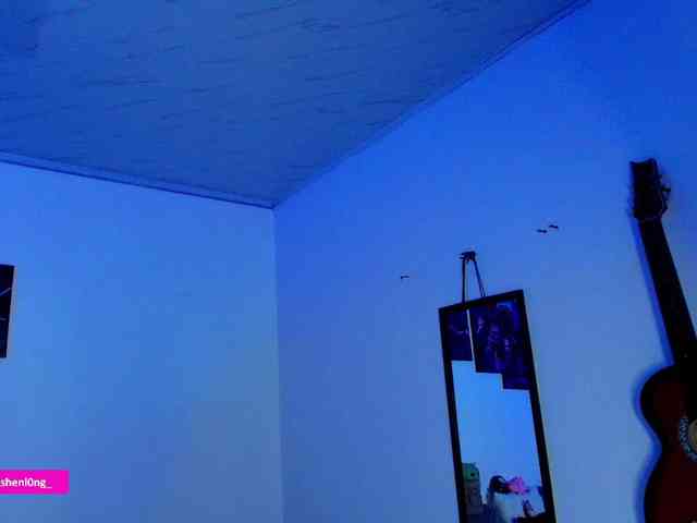 Nicorobin webcam