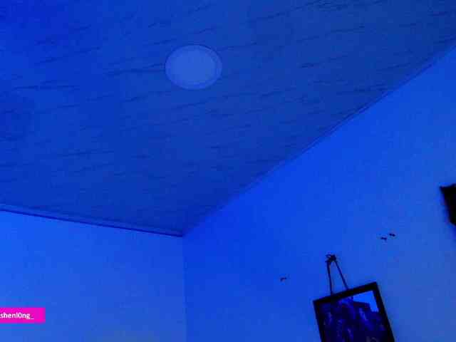 Nicorobin webcam